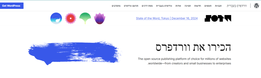 וורדפרס לינק בתמונה לאתר הרישמי
